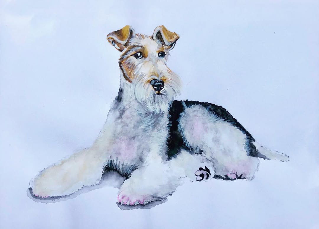 Foxterrier Tumbado
