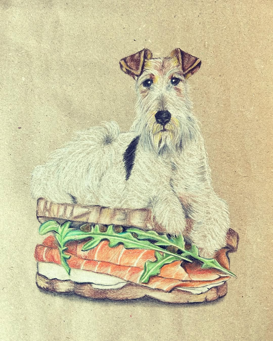 Foxterrier Sandwich Salmony